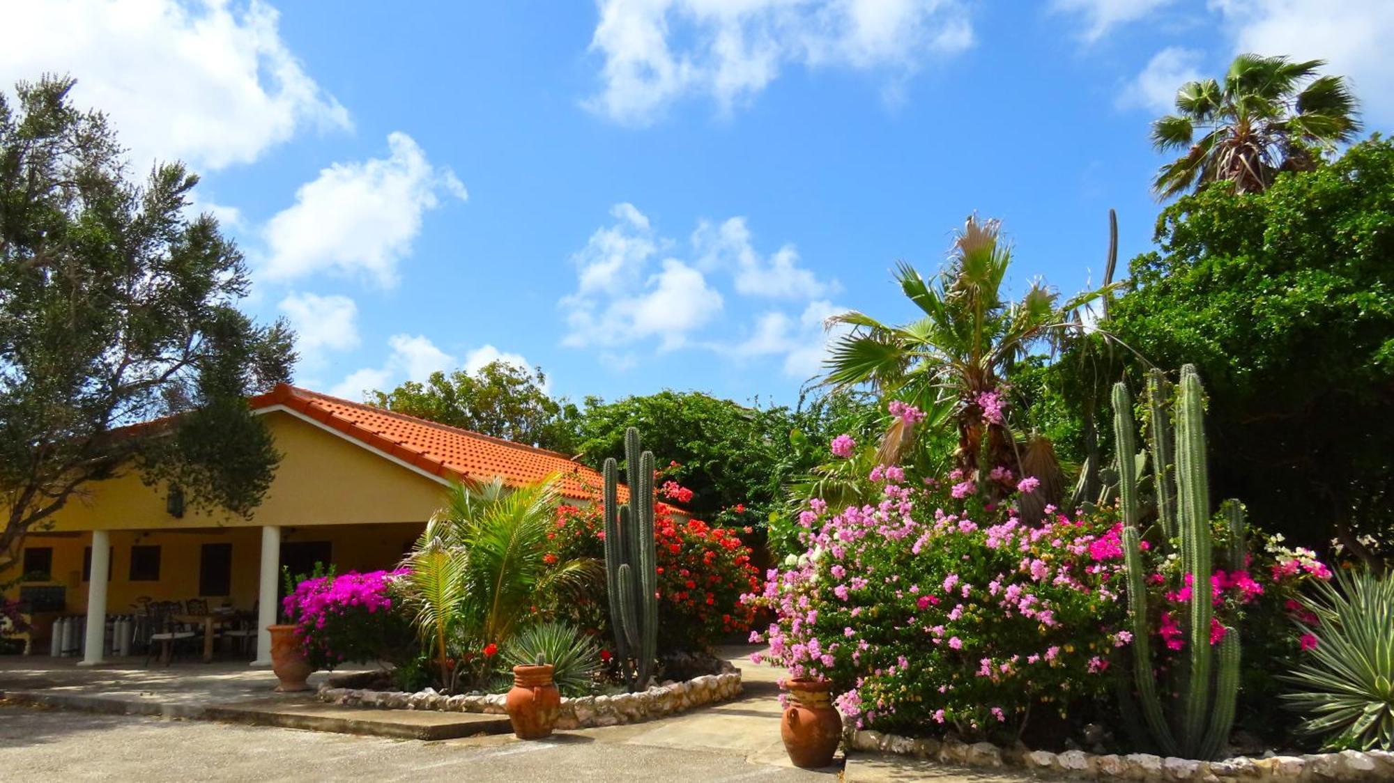 Lagun Blou Resort Curacao المظهر الخارجي الصورة