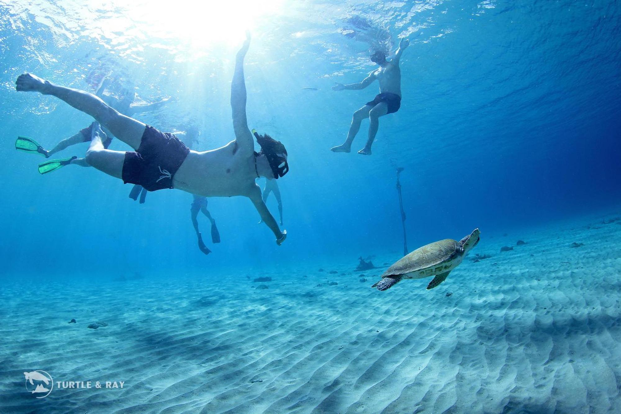 Lagun Blou Resort Curacao المظهر الخارجي الصورة