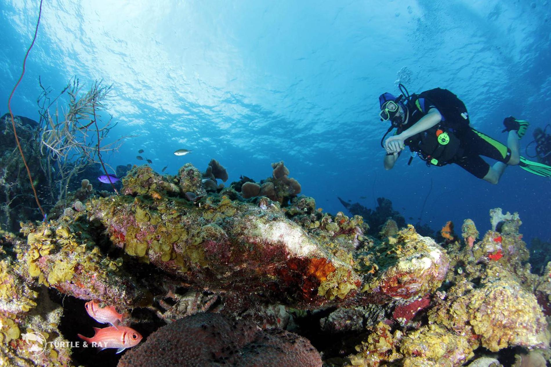Lagun Blou Resort Curacao المظهر الخارجي الصورة